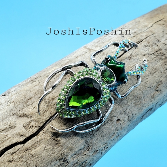 JoshisPoshin Jewelry - Silver beetle bug crystal brooch pin